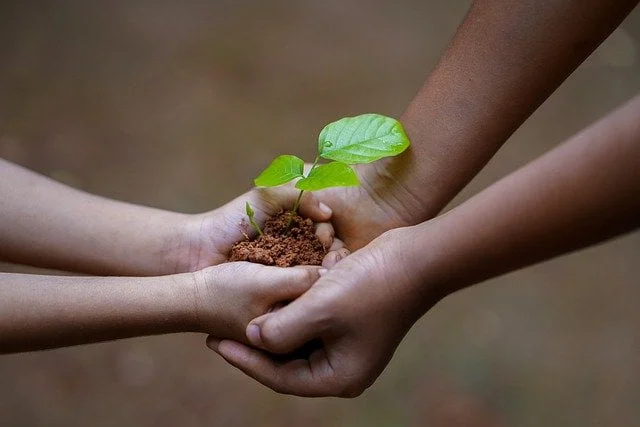 Two people holding a sapling at a drug and alcohol rehab centre in Exeter